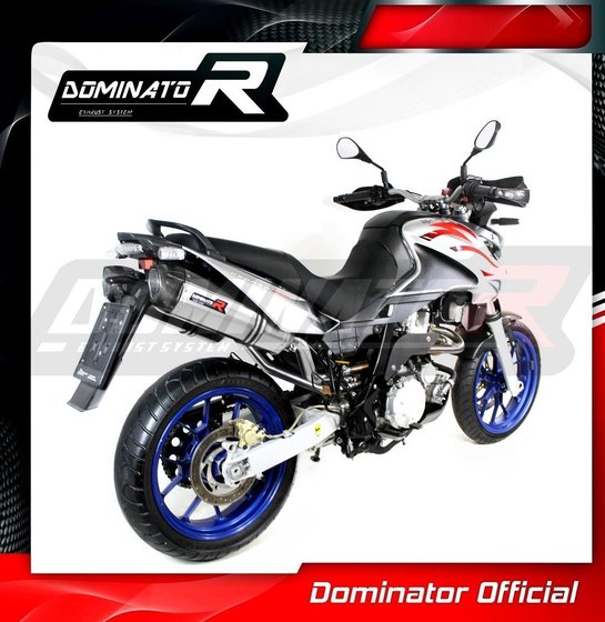 PEGASO 650 (2007 - 2010) exhaust silencer hp1 | Dominator