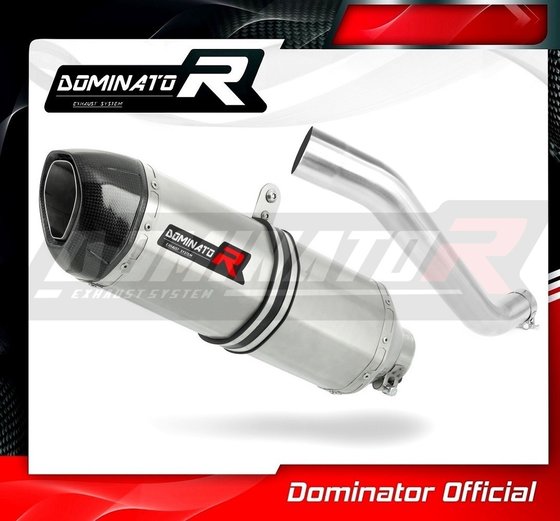 RSV 1000 (1970 - 2022) exhaust silencer hp1 | Dominator