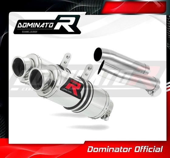 RSV 1000 (2004 - 2009) exhaust silencer gp1 | Dominator