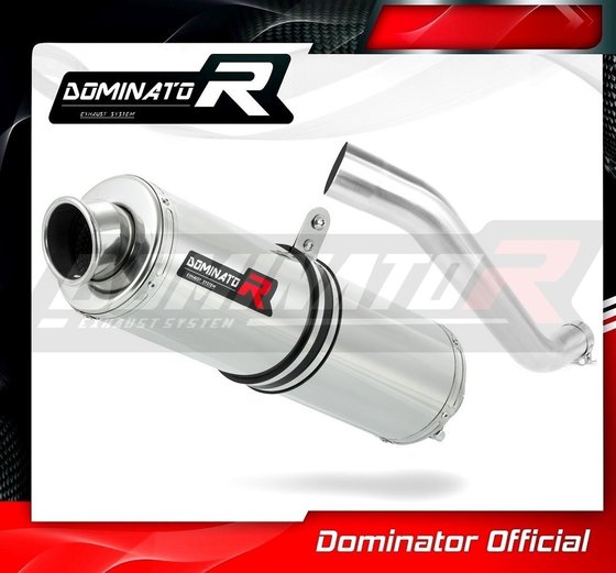 RSV TUONO 1000 (1970 - 2022) exhaust silencer round | Dominator