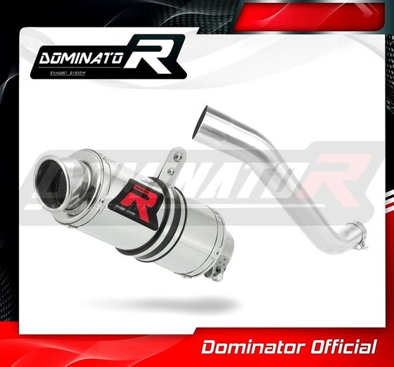 TUONO 1100  V4 (1970 - 2022) exhaust silencer gp1 | Dominator