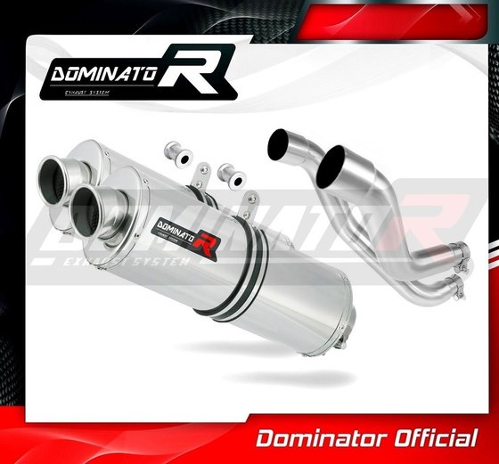 PEGASO 650 (2006 - 2010) exhaust silencer oval | Dominator