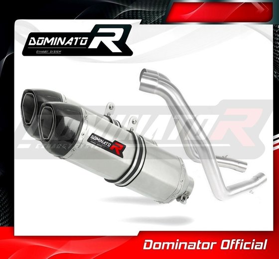 CAPONORD 1000 ETV (2001 - 2004) exhaust silencer hp1 | Dominator