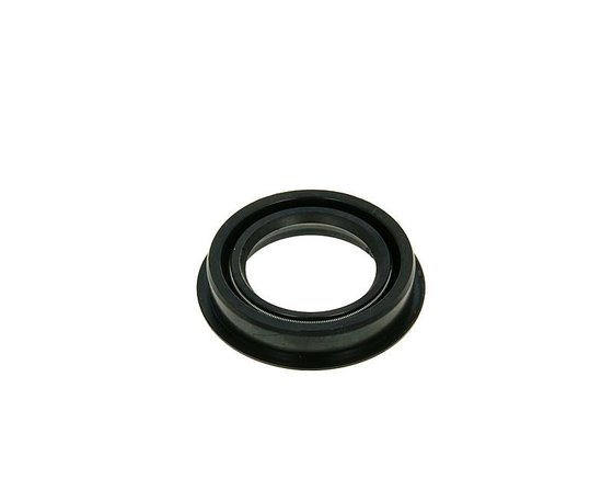 SR 50 AC (1993 - 2001) shaft seal | 101 OCTANE