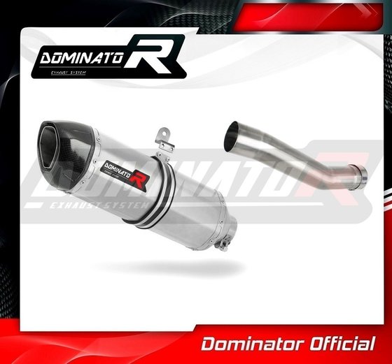 RSV 1000 (2011 - 2015) exhaust silencer hp1 | Dominator