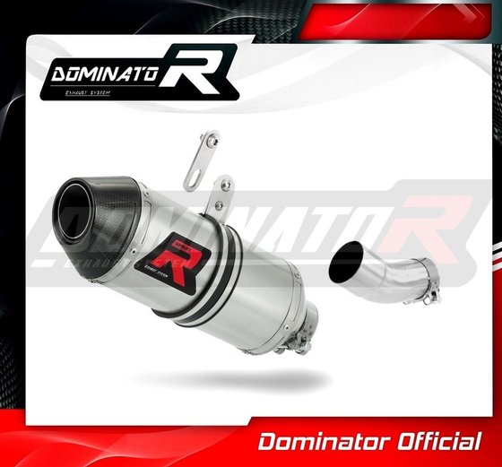 RSV4 1000 (1970 - 2022) exhaust silencer low level hp3 | Dominator