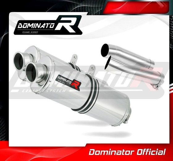 RSV TUONO 1000 (2006 - 2010) exhaust silencer oval | Dominator