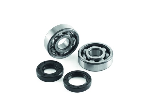 SR 50 LC (1994 - 2004) crank bearing seal kit | JASIL