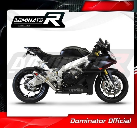 RSV4 1100 (2011 - 2015) exhaust silencer gp | Dominator