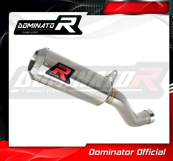 RSV4 1100 (2011 - 2015) exhaust silencer gp | Dominator