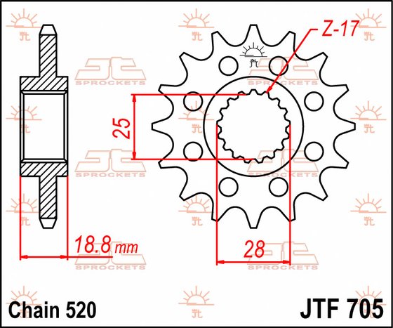 RSV 1000 (1998 - 2014) steel front sprocket | JT Sprockets