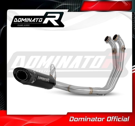 RS 660 (2020 - 2023) full exhaust system silencer hp8 black | Dominator