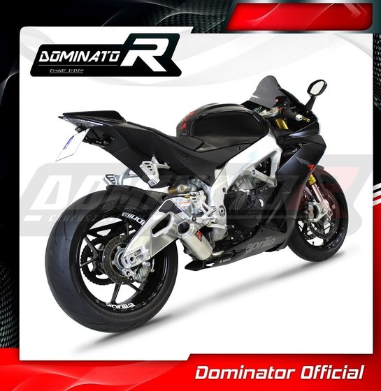 RSV4 1100 (2011 - 2015) exhaust silencer gp | Dominator