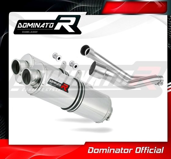 PEGASO 650 (1992 - 1996) exhaust silencer oval | Dominator