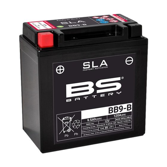 RS 125 (1992 - 2018) sla battery 12v 115a | BS BATTERY