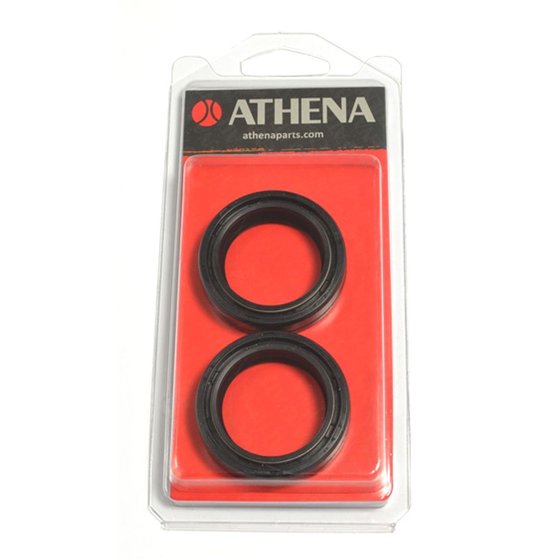 LEONARDO 250 (1999 - 2004) fork seal kit | ATHENA