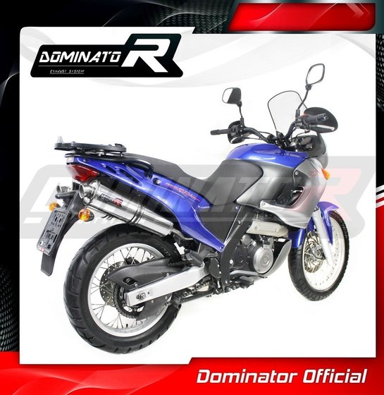 PEGASO 650 (2001 - 2004) exhaust silencer round | Dominator