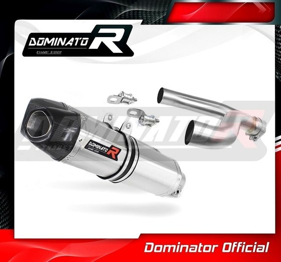 SHIVER 900 (2017 - 2019) exhaust silencer hp1 | Dominator