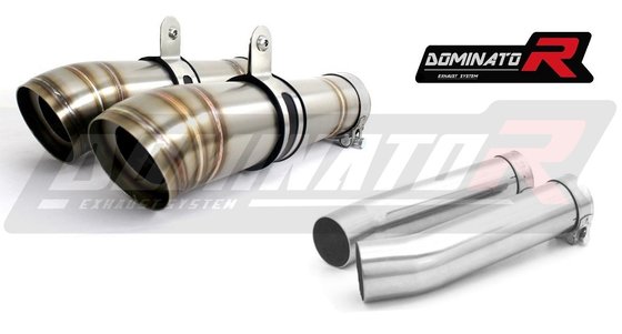 RSV4 1100 (2004 - 2009) exhaust silencer gp2 | Dominator