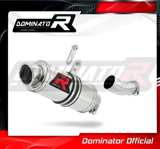 RSV 1000 (1970 - 2022) exhaust silencer low level gp1 | Dominator