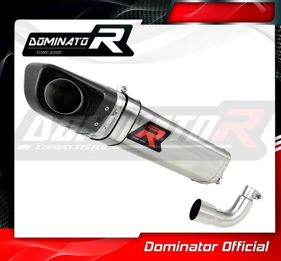 RS4 125 REPLICA (2012 - 2017) exhaust silencer hp4 | Dominator