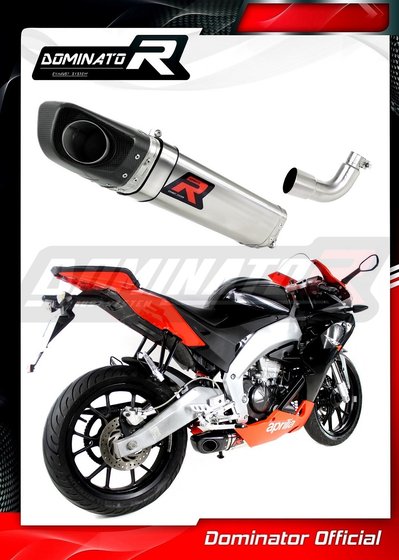 RS4 125 REPLICA (2012 - 2017) exhaust silencer hp4 | Dominator