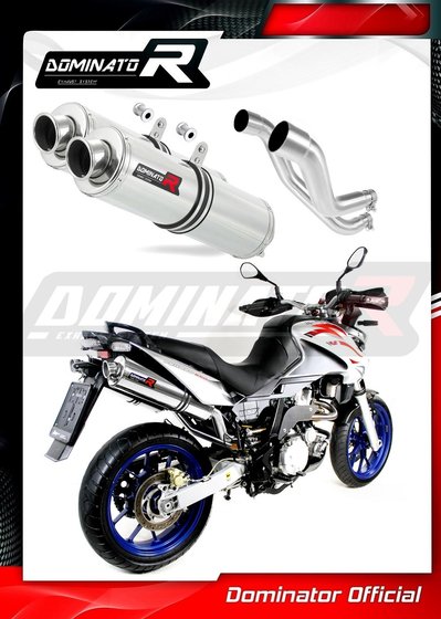 PEGASO 650 (2007 - 2010) exhaust silencer round | Dominator