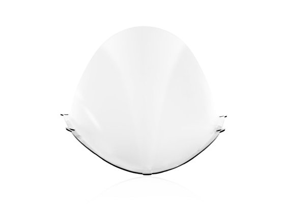 RS 660 (2020 - 2021) race windscreen for rs660 | WRS