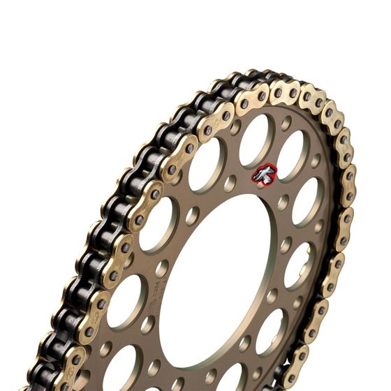 TUONO 1100  V4 (2016 - 2017) r4 srs road chain 525x120 | RENTHAL