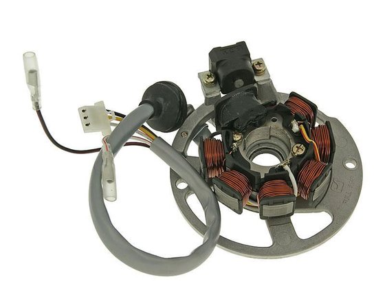 SR 50 AC (1993 - 2001) alternator stator | NARAKU